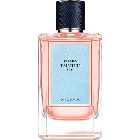 prada tainted love perfume reviews|Olfactories .